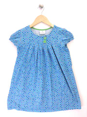 Blue Blouse