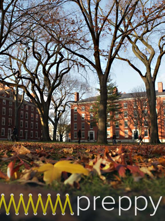 It's a Preppy Stitchmix